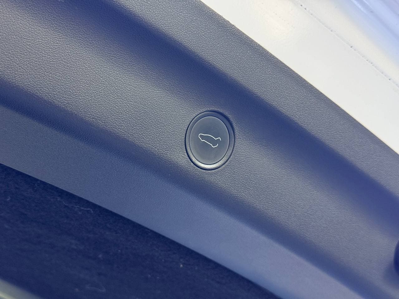 Tesla Model Y Dual Motor — фото 19